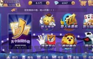 2026世界杯正规买球-2026世界杯，正规购彩体验与足球盛宴的双重期待